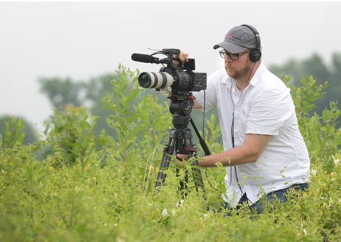 Mr. Fox using a video camera in a field of tall grass